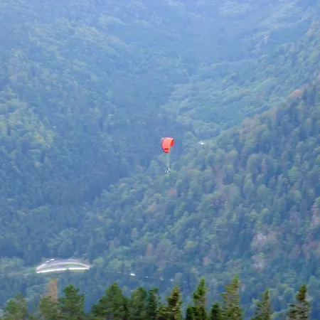 Holiday home La Hutte